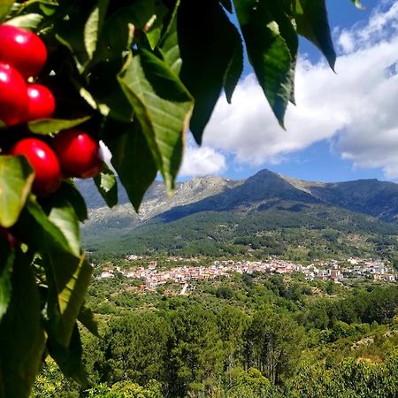 Albareilla By #Cherrygredos Ель-Аренал Екстер'єр фото