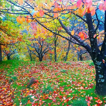 Albareilla By #Cherrygredos Ель-Аренал Екстер'єр фото