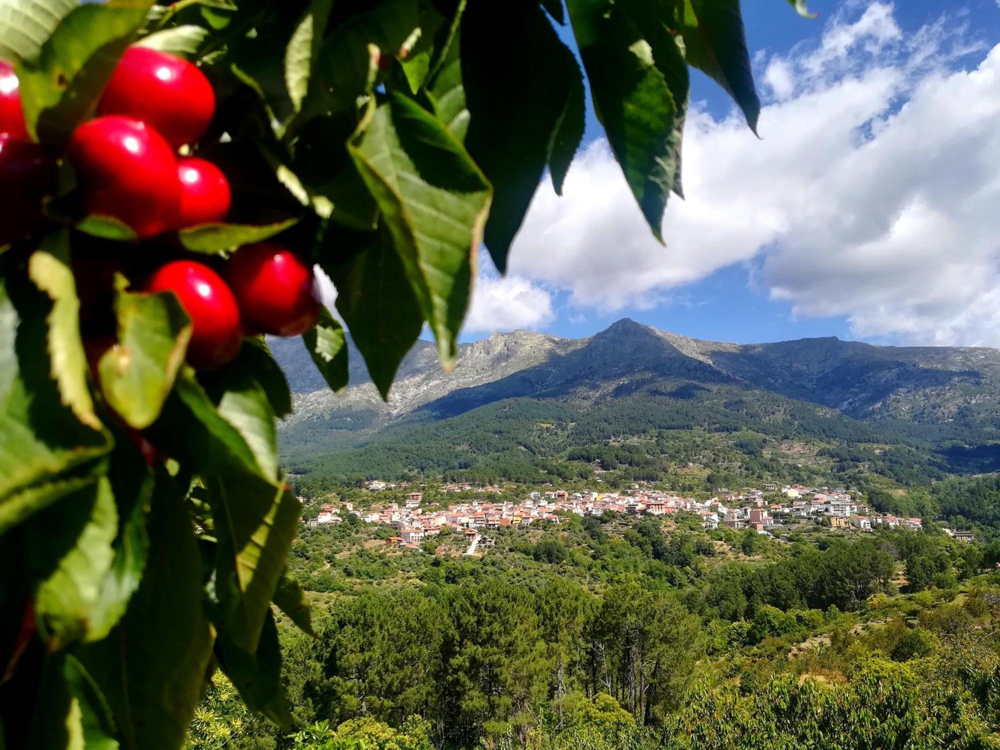 Albareilla By #Cherrygredos Ель-Аренал Екстер'єр фото