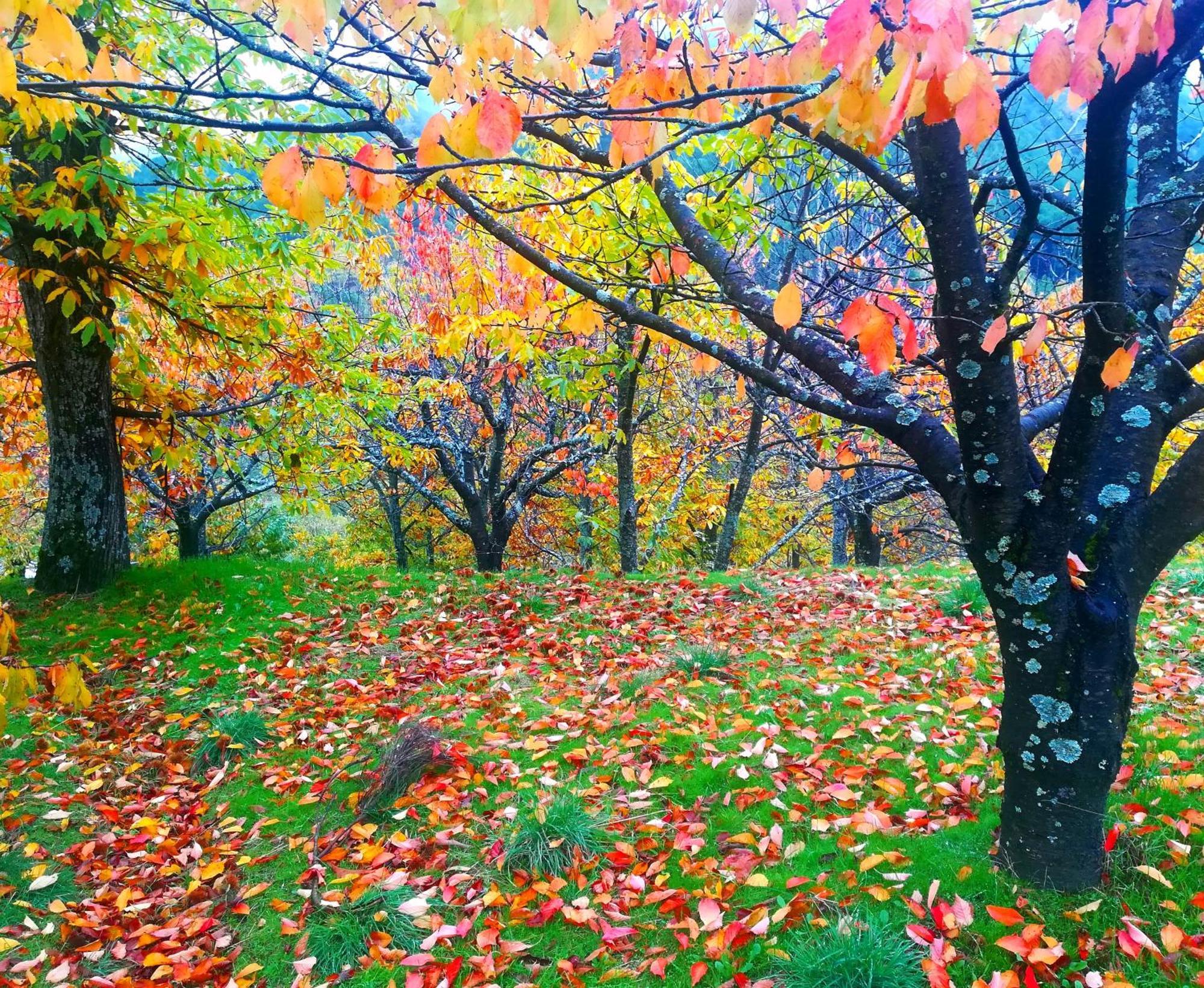 Albareilla By #Cherrygredos Ель-Аренал Екстер'єр фото