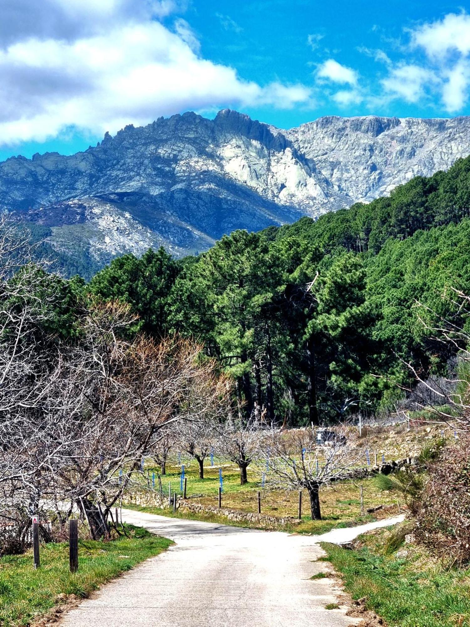Albareilla By #Cherrygredos Ель-Аренал Екстер'єр фото