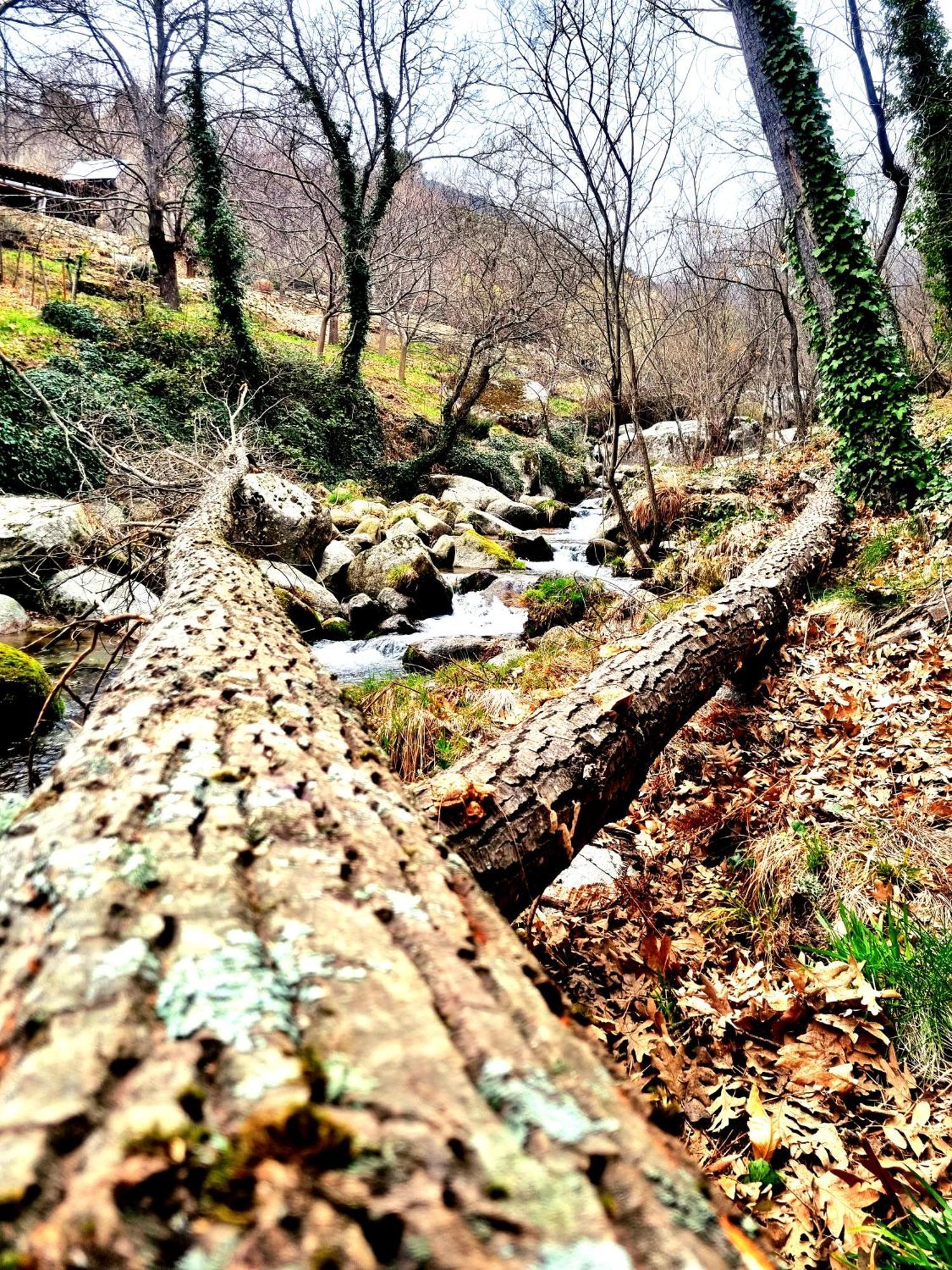 Albareilla By #Cherrygredos Ель-Аренал Екстер'єр фото
