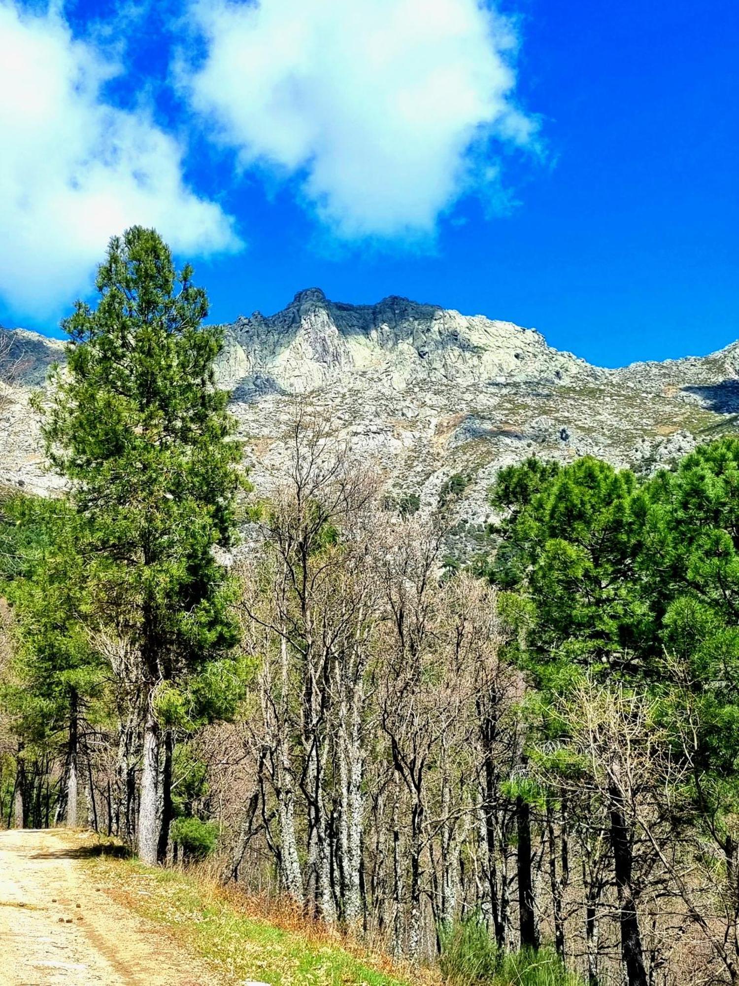 Albareilla By #Cherrygredos Ель-Аренал Екстер'єр фото